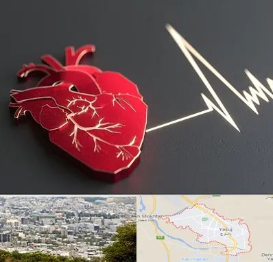 متخصص الکتروفیزیولوژی در یاسوج