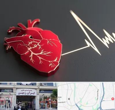 متخصص الکتروفیزیولوژی در ایران زمین