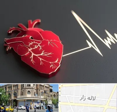 متخصص الکتروفیزیولوژی در لاله زار