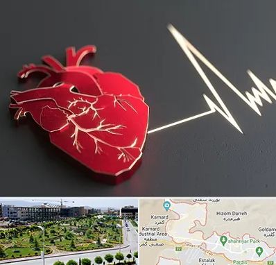 متخصص الکتروفیزیولوژی در پردیس