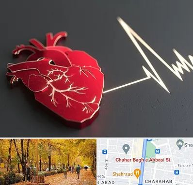 متخصص الکتروفیزیولوژی در چهارباغ اصفهان