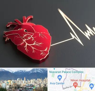 متخصص الکتروفیزیولوژی در آجودانیه