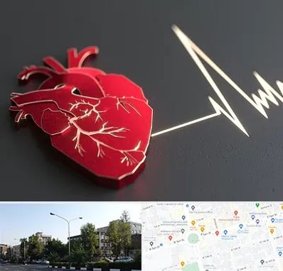 متخصص الکتروفیزیولوژی در میدان کاج