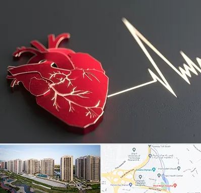 متخصص الکتروفیزیولوژی در المپیک