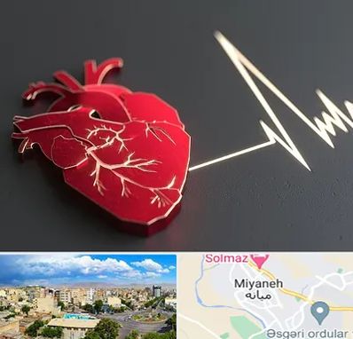 متخصص الکتروفیزیولوژی در میانه