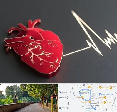 متخصص الکتروفیزیولوژی در فلکه گاز رشت