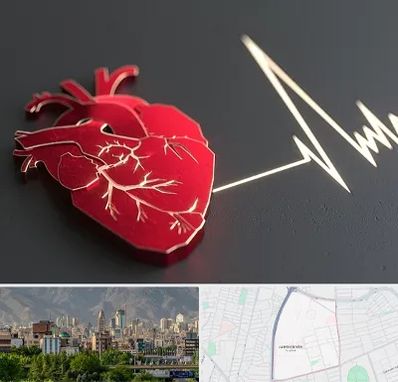 متخصص الکتروفیزیولوژی در جمشیدیه