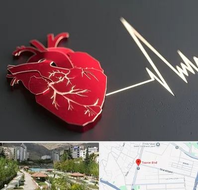 متخصص الکتروفیزیولوژی در بلوار تعاون