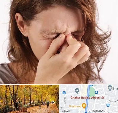 جراح برداشتن پولیپ در چهارباغ اصفهان