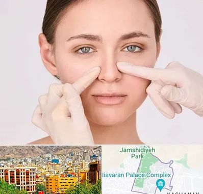 جراح راینوپلاستی در نیاوران