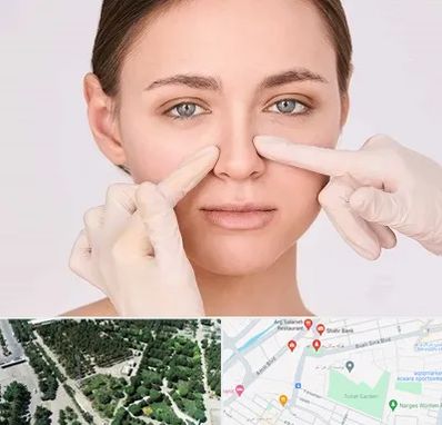 جراح راینوپلاستی در سالاریه قم