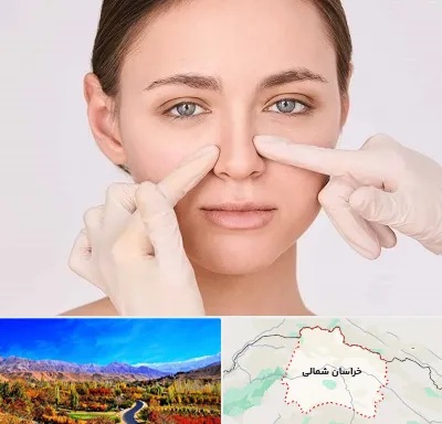 جراح راینوپلاستی در خراسان شمالی