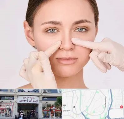 جراح راینوپلاستی در ایران زمین