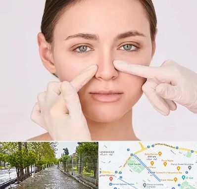 جراح راینوپلاستی در خیابان ارم شیراز