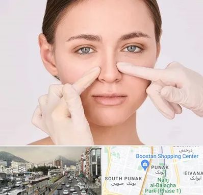 جراح راینوپلاستی در پونک