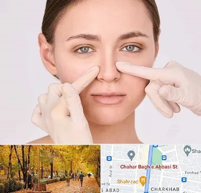 جراح راینوپلاستی در چهارباغ اصفهان