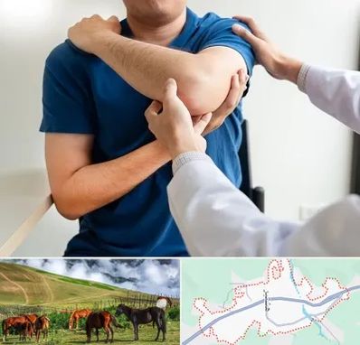 فیزیوتراپی شانه در تالش