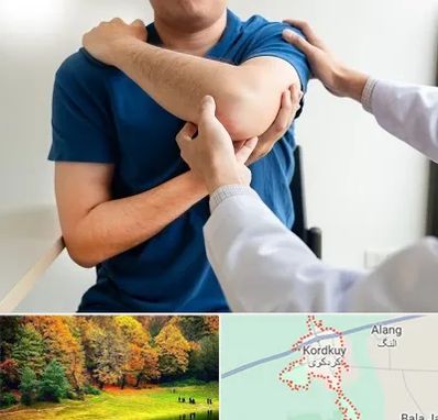 فیزیوتراپی شانه در کردکوی