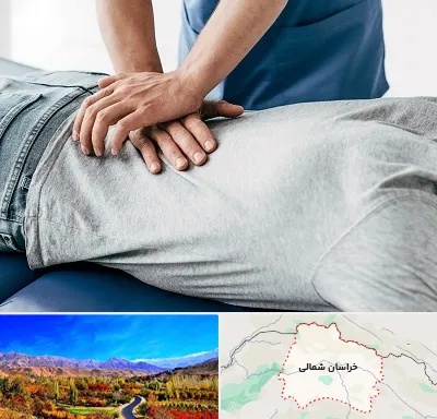 کایروپراکتیک در خراسان شمالی