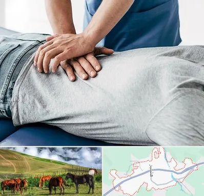 کایروپراکتیک در تالش