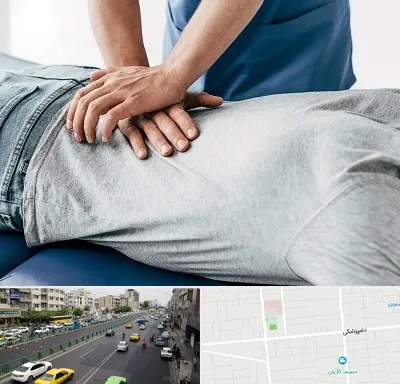 کایروپراکتیک در خیابان دامپزشکی