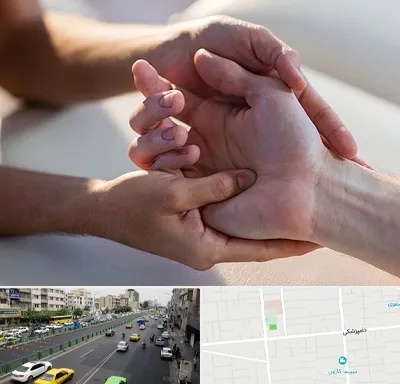 فیزیوتراپی دست در خیابان دامپزشکی