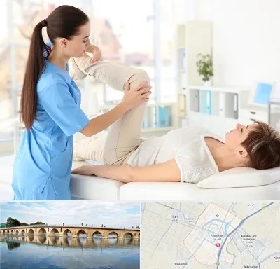 متخصص طب فیزیکی در فلاورجان