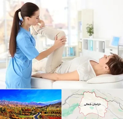 متخصص طب فیزیکی در خراسان شمالی