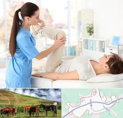 متخصص طب فیزیکی در تالش