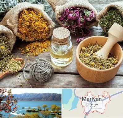 داروخانه طب سنتی در مریوان