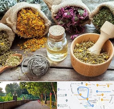 داروخانه طب سنتی در بلوار گیلان رشت