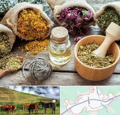 داروخانه طب سنتی در تالش