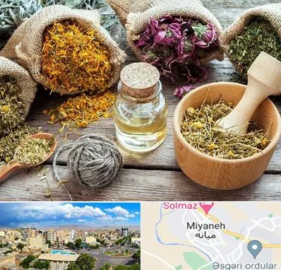 داروخانه طب سنتی در میانه