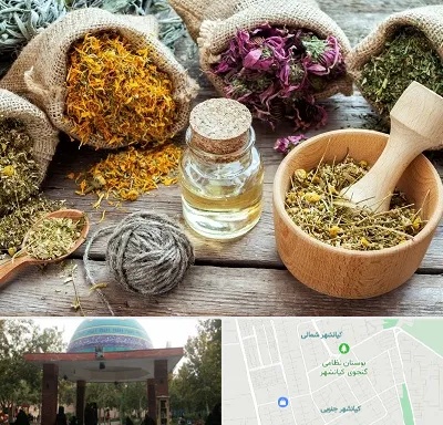 داروخانه طب سنتی در کیانشهر