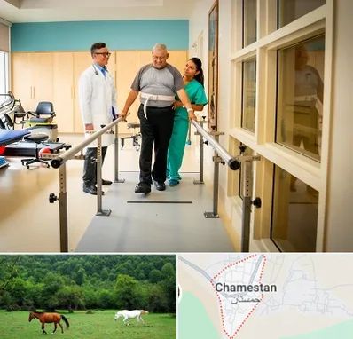 مرکز توانبخشی در چمستان