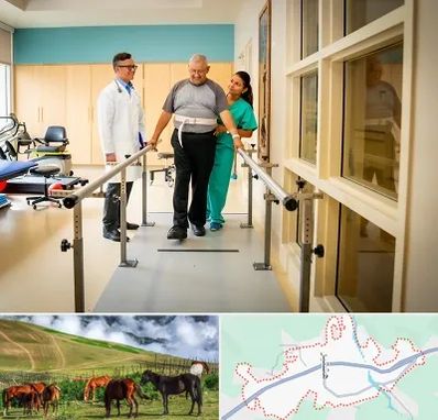 مرکز توانبخشی در تالش