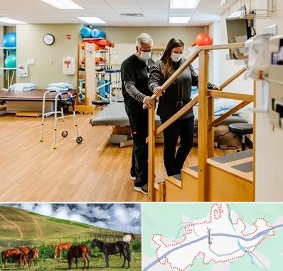 توانبخشی پزشکی در تالش