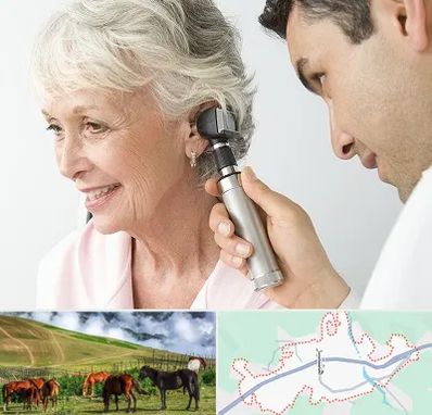 شنوایی سنجی در تالش