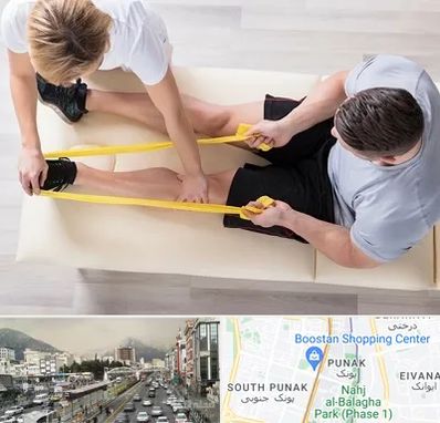 متخصص توانبخش در پونک