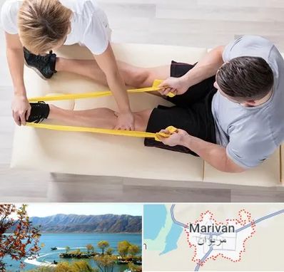 متخصص توانبخش در مریوان
