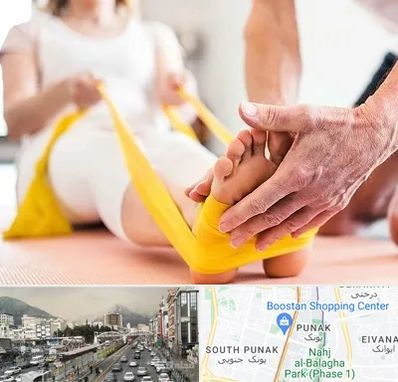 متخصص طب توانبخشی در پونک 