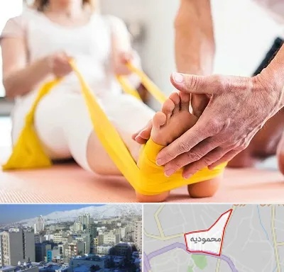 متخصص طب توانبخشی در محمودیه