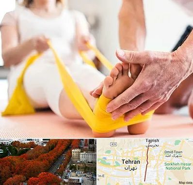 متخصص طب توانبخشی در ولیعصر 