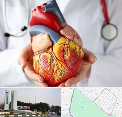 دکتر متخصص قلب و عروق در بلوار فلسیطین مشهد