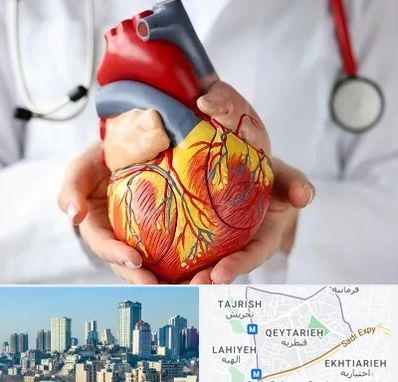 دکتر متخصص قلب و عروق در قیطریه 