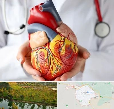 دکتر متخصص قلب و عروق در بهبهان
