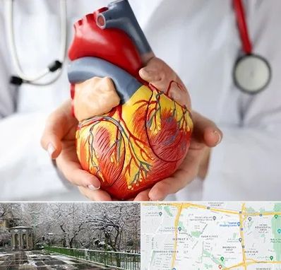 دکتر متخصص قلب و عروق در باغ فیض