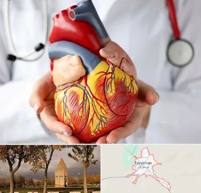 دکتر متخصص قلب و عروق در تویسرکان