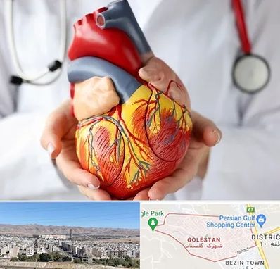 دکتر متخصص قلب و عروق در شهرک گلستان شیراز