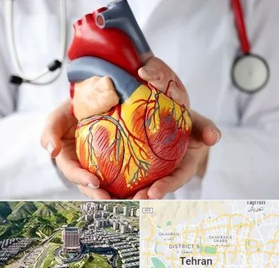 دکتر متخصص قلب و عروق در شمال تهران 